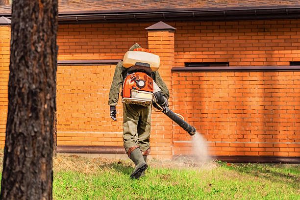 Trusted Ant Control service in Perrysburg, OH - Nex Pest Control